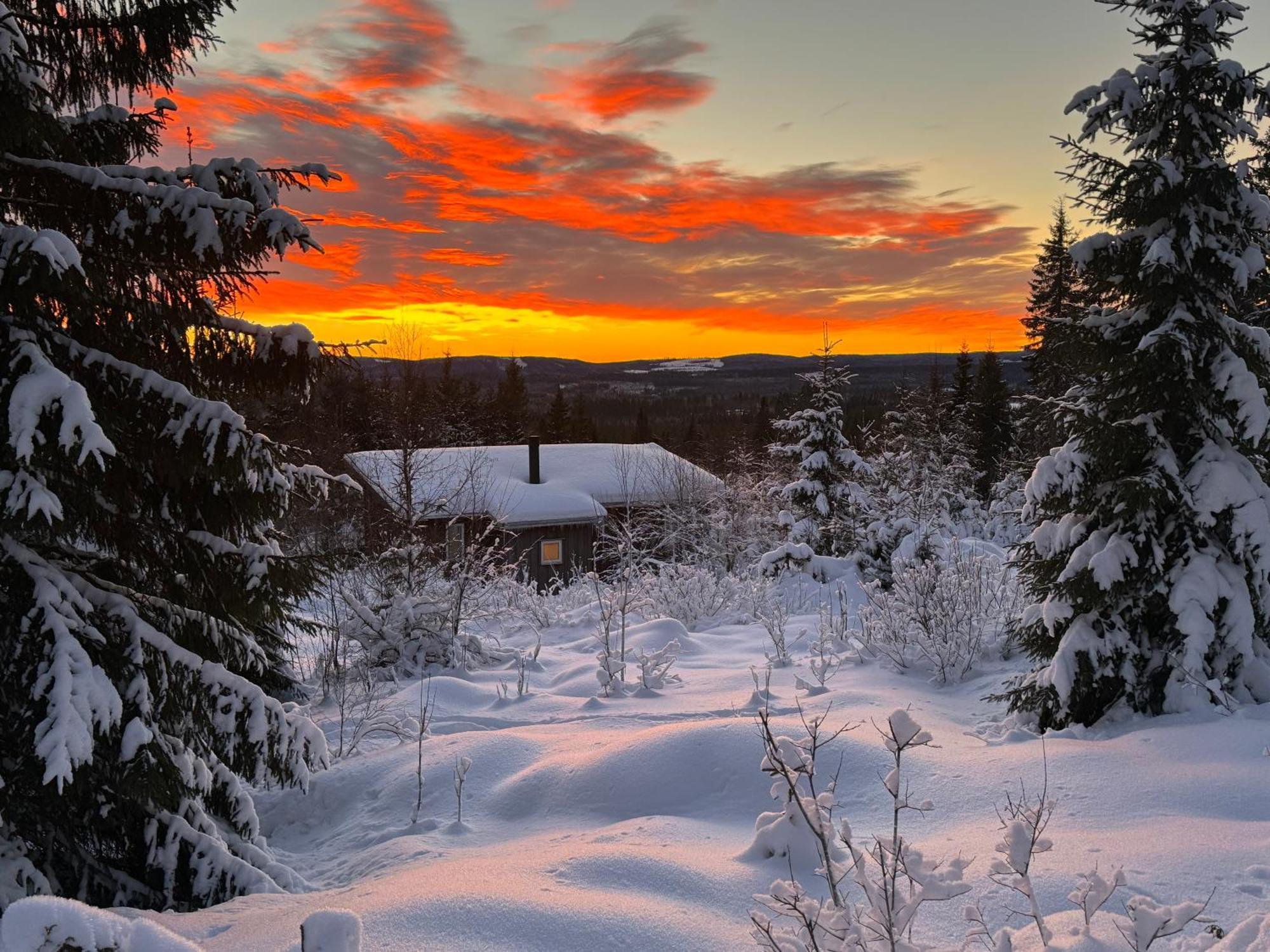 Cozy Forest Cabin With Amazing Mountain View ทอร์สบี ภายนอก รูปภาพ