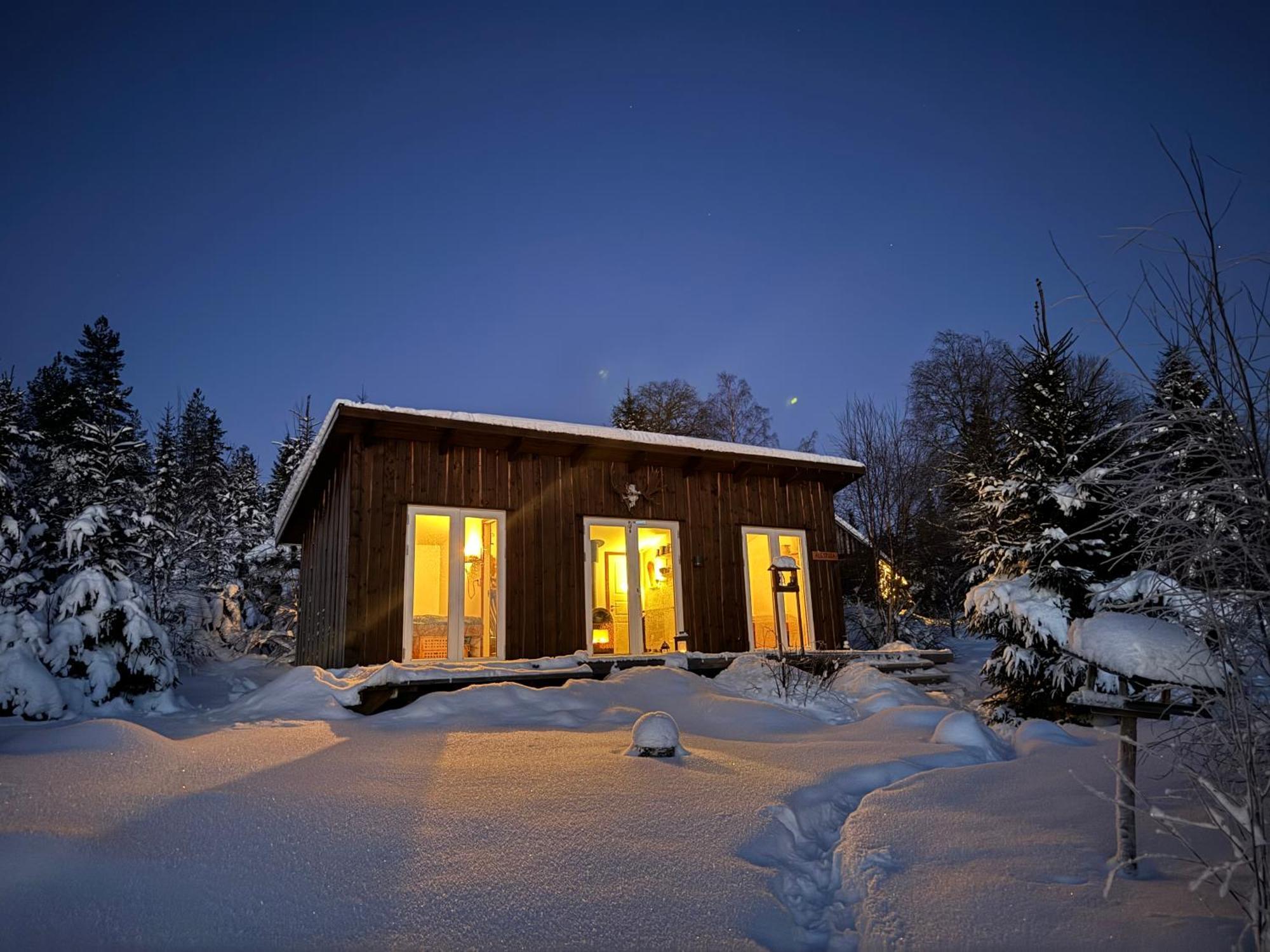 Cozy Forest Cabin With Amazing Mountain View ทอร์สบี ภายนอก รูปภาพ
